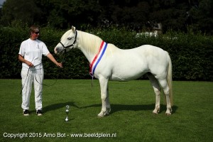 Centrale Merriekeuring 2016 @ Manege "De Fruithof" | Heteren | Gelderland | Nederland