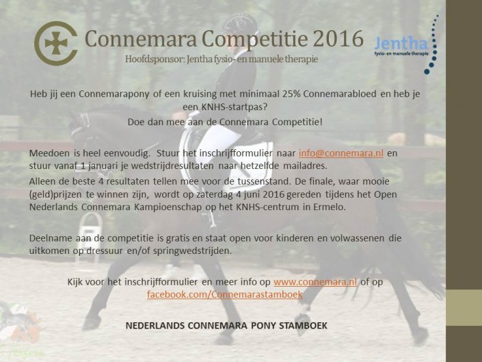 Flyer 2016 incl sponsor