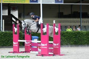 Roos en Panfu2