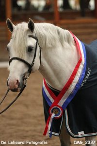 Wirthsmuhle Delany's