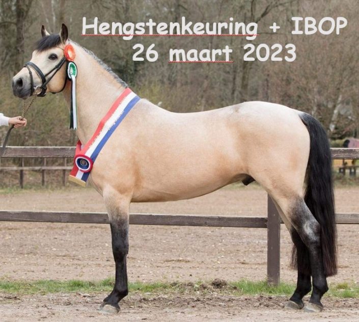 HK2023