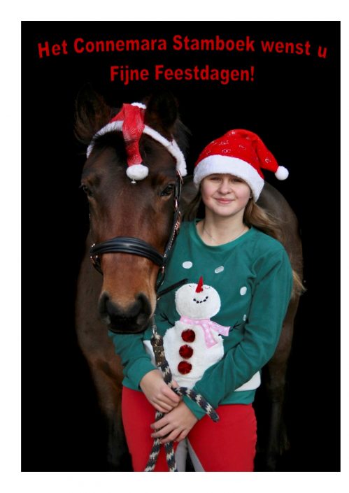 kerstgroet2022