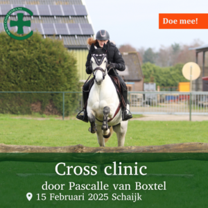 Cross Clinic Pascal van Boxtel te Schaijk @ Landgoed de Bossenhoeve, | Lunteren | Gelderland | Nederland